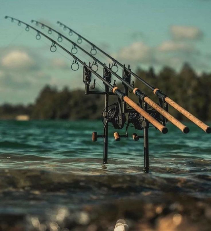 Hengelsport in Hoorn